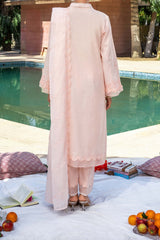 NUSF3271 Schiffli Embroidered Lawn Suit - Unstitched 3Pc