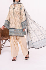 NUSL3353 Printed Cambric Suit - Unstitched 3Pc