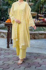 NUSF3274 Schiffli Embroidered Lawn Suit - Unstitched 3Pc