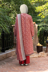 NPWK3031 - Printed Khaddar (Stitched 3Pc)