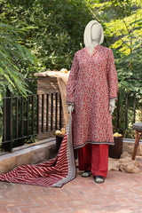 NPWK3031 - Printed Khaddar (Stitched 3Pc)