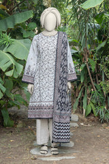 NPWK3029 - Printed Khaddar (Stitched 3Pc)