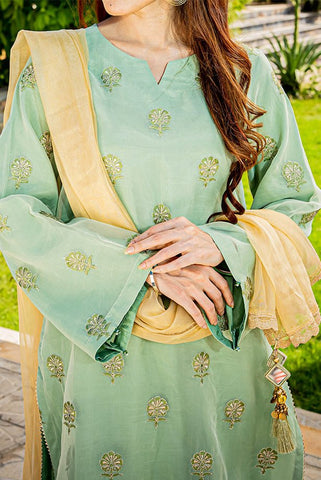 Green Embroidered Organza Suit - 3Pc - Narmin