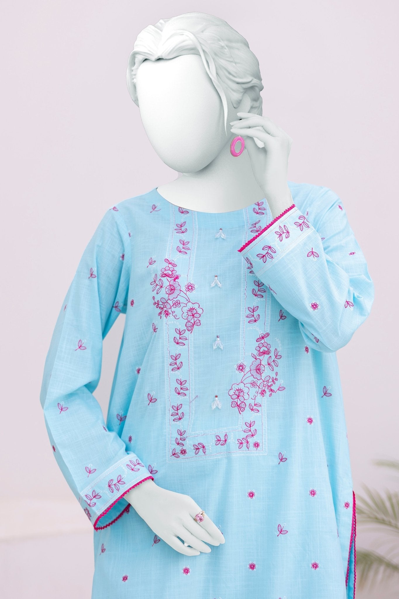 NPS2022 Light Blue Embroidered Lawn 2Pc
