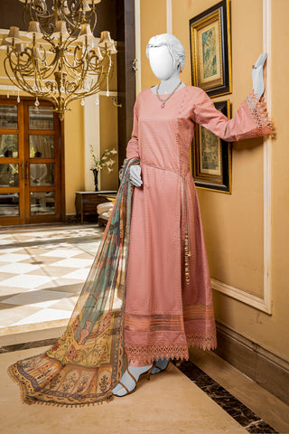 NUS3042 Luxe Chikankaari - 3 Piece