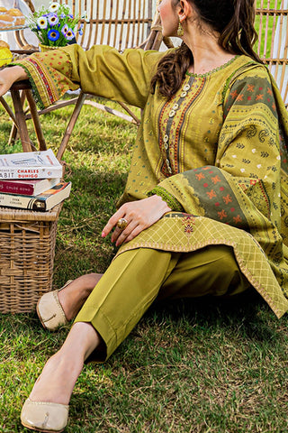 Olive Digital Printed Khaddar Suit - 3Pc